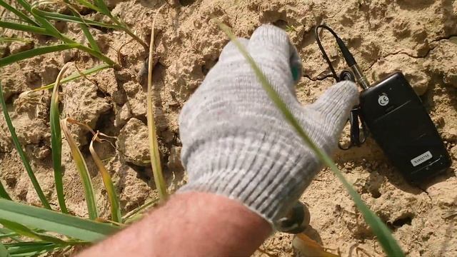 Замер влажности почвы на чесночном поле влагомером Landtek MC-7828 SOIL смотреть онлайн