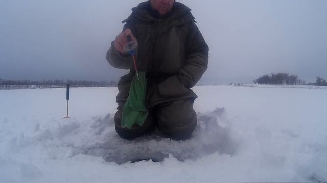 Окуня на безмотылку в затоне реки Ахтуба. смотреть онлайн