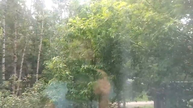 Одна девка говорит что я плохо рисую !!! И я недостояна 2 место смотреть онлайн