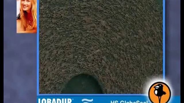 Грунтовка Loba HS GlobaSeal