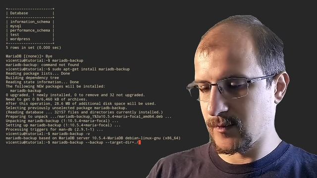 How to backup Wordpress with MariaDB смотреть онлайн
