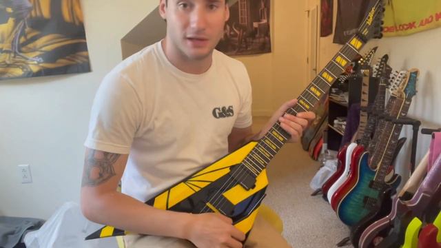 Michael Sweet (Stryper) Washburn Parallaxe V260FR Electric V - Unboxing & Demo смотреть онлайн