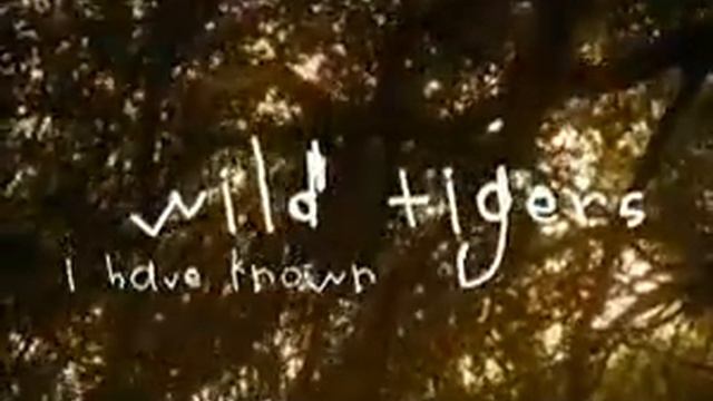 wild tigers i have known смотреть онлайн
