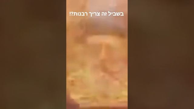 70 שנה על מה מברכים על במבה ומה עם בית מקדש? смотреть онлайн