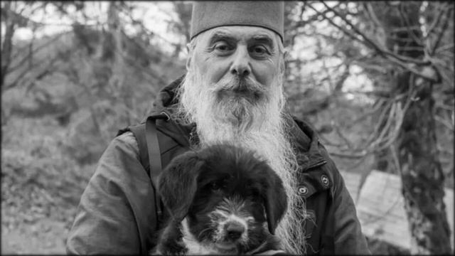 ?«Если мы хотим добиться успеха в молитве Иисусовой...» — схиигумен Гавриил (Игумен N) смотреть онлайн