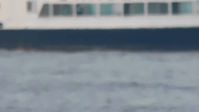 NIKON B500 ZOOM TEST # 1 смотреть онлайн