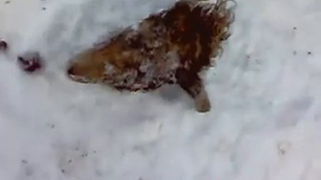 Двор смерти...