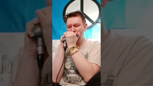 Спокойная ночь - Кино - соло, губная гармошка + табы смотреть онлайн