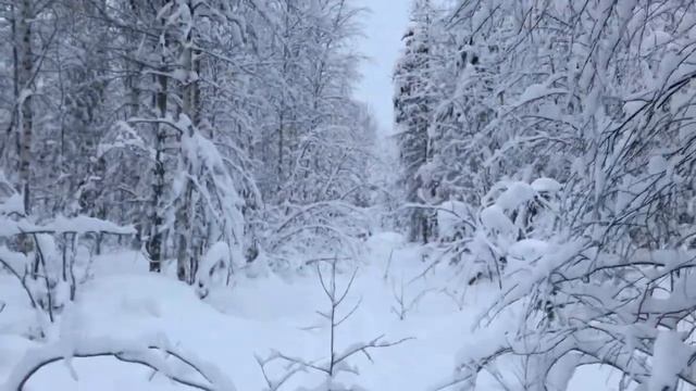 Сказочная Тайга. Искал потерянное место и обнаружил избушку. смотреть онлайн
