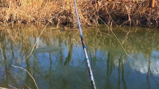 РЫБАЛКА НА ПАУК В МЕЛКОМ РУЧЬЕ смотреть онлайн