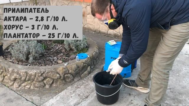 Весенняя обработка хвойных смотреть онлайн