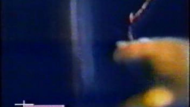 Angelfish - Suffocate Me