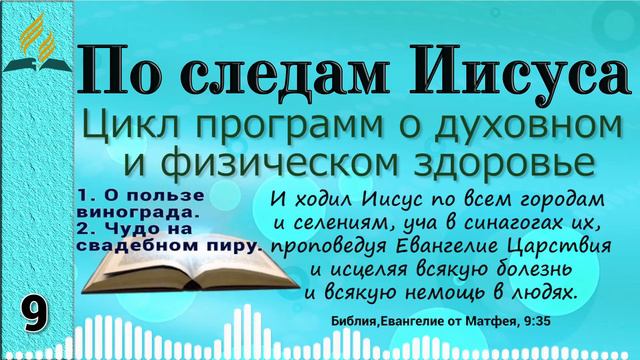 09. По следам Иисуса - 1. О пользе винограда. 2. Чудо на свадебном пиру. смотреть онлайн
