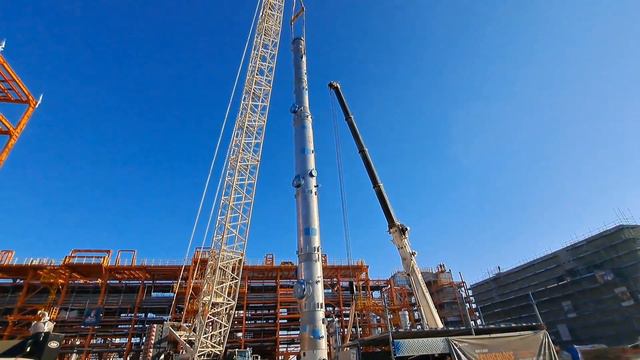 .Удачная выгрузка.Друг Ицык возмущается.