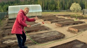 Супер огород мечты посажен!