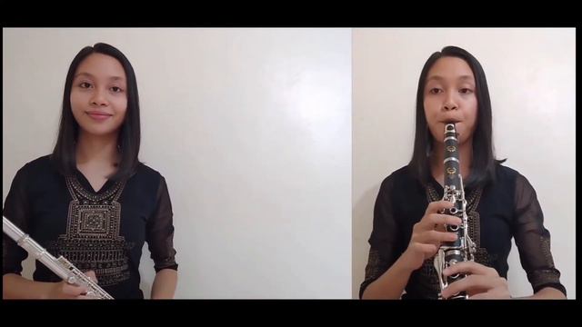 How Great Is The Miracle | flute & clarinet cover смотреть онлайн