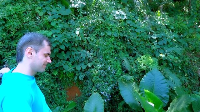 Прогулка на слонах. ( Клип ) Extreme elephant ride смотреть онлайн