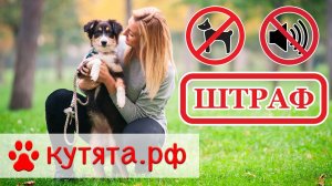 Штраф за лай собаки в ночное время