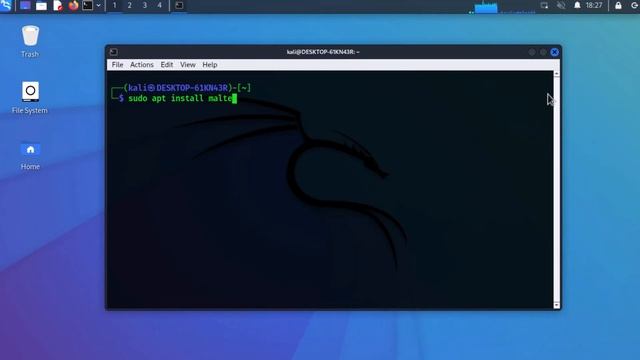 INSTALL MALTEGO IN KALI LINUX 2022 || INFORMATION GATHERING TOOL || ADVANCED CODING смотреть онлайн