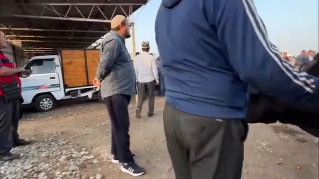 ЧИЛСОЛАГИ РЕГАР КИРКЙИЛЛИК БОЗОР НЕ ПРОПУСТИТЬ НАРХИ ГУСАЛАЧА ГОВИ ШИРТЕ 2 июня 2023 г. смотреть онлайн