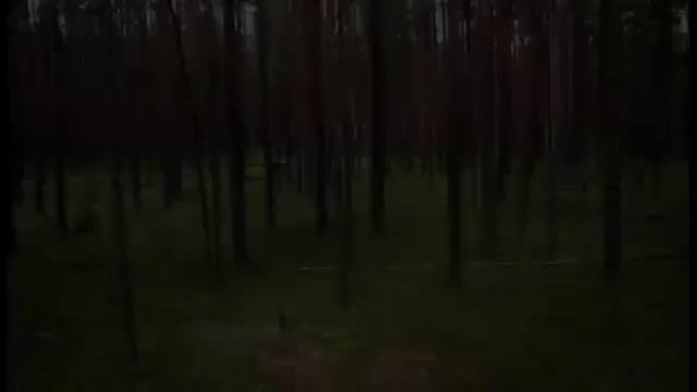 Мила Сердная – День притихший стихи Светланы Вороневич, муз Keiko Matsui смотреть онлайн