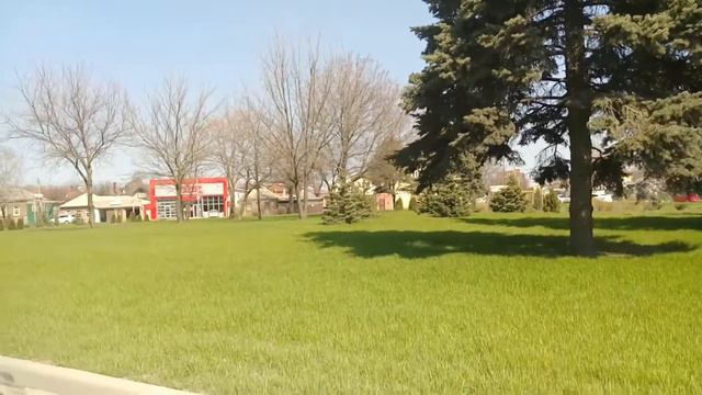 Сочная свежая яркая новая чистая весенняя трава смотреть онлайн