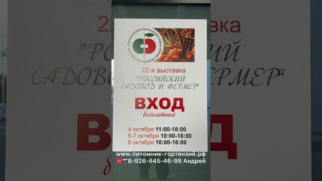 Гортензия метельчатая Литтл Лав (Little Love) - малышка-НОВИНКА 2023!