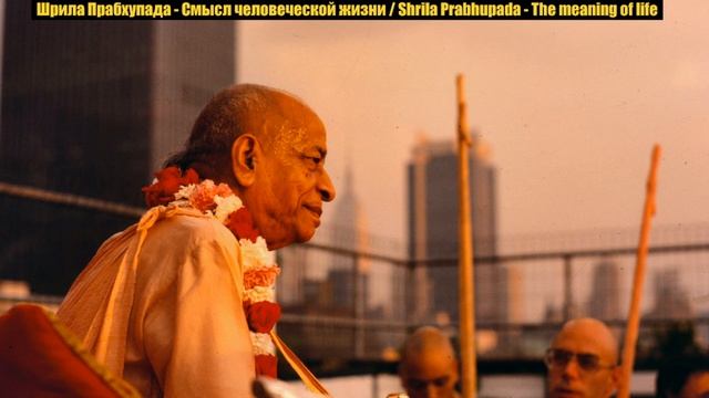 Шрила Прабхупада. Смысл человеческой жизни. смотреть онлайн