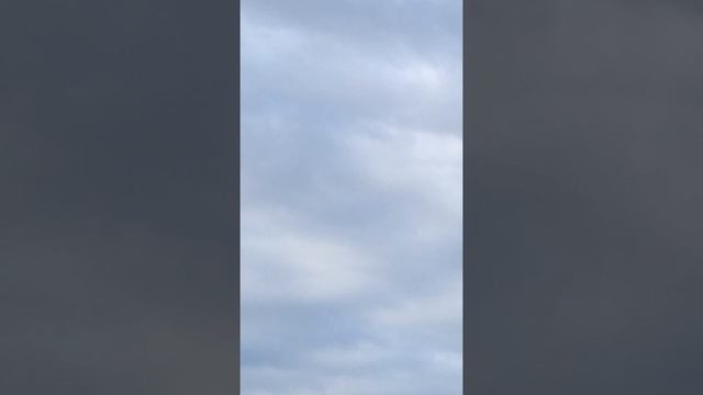 Pion are you sure you can film this смотреть онлайн