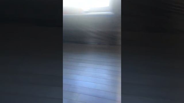 6 июля 2022 г. Инженерная доска, лиственница. смотреть онлайн