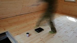Подготовка деревянного пола к покраске