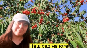 Новгородцы на юге. ЧТО РАСТЕТ В НАШЕМ САДУ НА ЮГЕ ☀️Переезд на юг в Краснодарский край