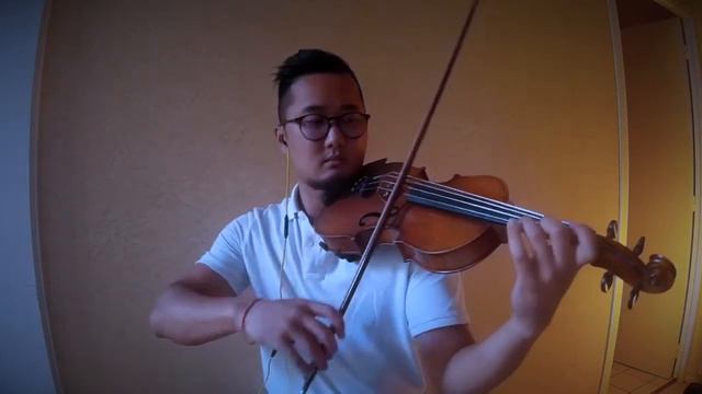 SAM SMITH - TOO GOOD AT GOODBYES - VIOLIN COVER