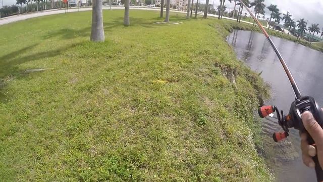 Fishing With Leeches!?! Surprising Outcome! смотреть онлайн