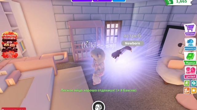 ОТКРОЕМ 10 ОЛД ЯИЦ,НО ГИНЕРАТР ЧИСЕЛ ВЫБЕРАЕТ ПОСЛЕДОВАТЕЛЬНОСТЬ ЯИЦ #adoptme #adoptme #adoptme смотреть онлайн