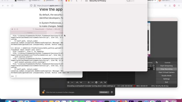 configure selenium geckodriver in MAC смотреть онлайн