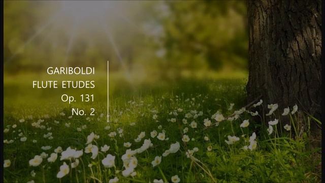 Gariboldi flute etudes op 131 no. 2 가리볼디 플루트 에튀드 131 no. 2 смотреть онлайн