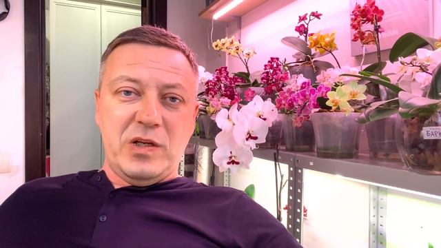 отговорил СЫНА от ОРХИДЕЙНОГО БИЗНЕСА до лучших времён смотреть онлайн