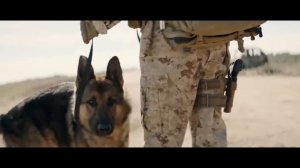 ТОП 3 ФИЛЬМА ПРО ДРУЖБУ ЛЮДЕЙ И ЖИВОТНЫХ (ОСНОВАННЫХ НА РЕАЛЬНЫХ СОБЫТИЯХ)