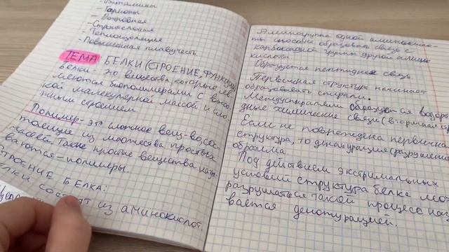 STUDY WITH ME #3???готовлюсь к огэ по биологии,опеределения,учебный план.