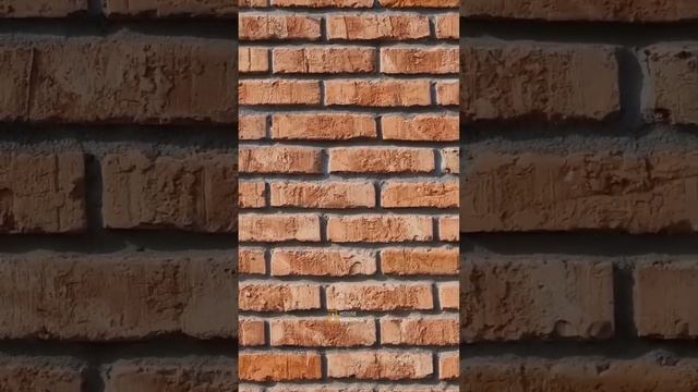 Облицовочная кладка из простого забутовочного кирпича смотреть онлайн