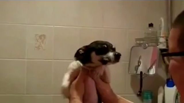 Плавание в воздухе смотреть онлайн