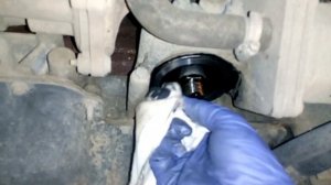 Замена масла Ford Transit Custom 2.2 TDCi (2012-...)