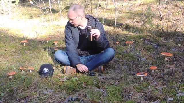 Грибы, Чувашия. Обстановка на 29 сентября 2о21: остатки опят, штучные волнушки и белые смотреть онлайн