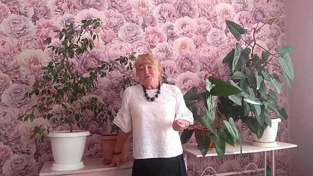 Поздравление с Днем знаний! смотреть онлайн