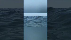 возможно ли цунами в черном море?