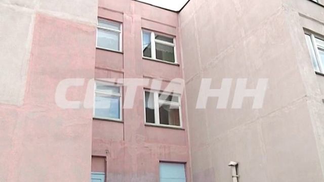 Целая стая голубей разом осиротела в Кстовском районе! смотреть онлайн