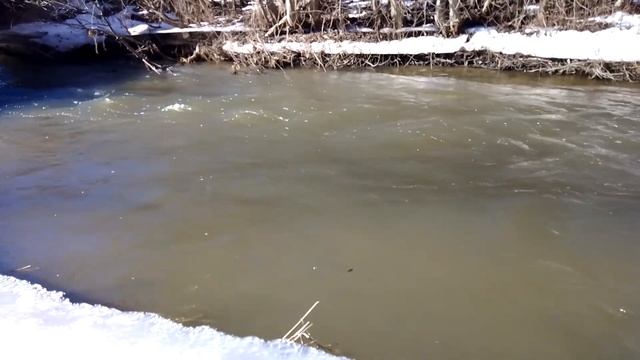 река Стрелка деревня Олики смотреть онлайн