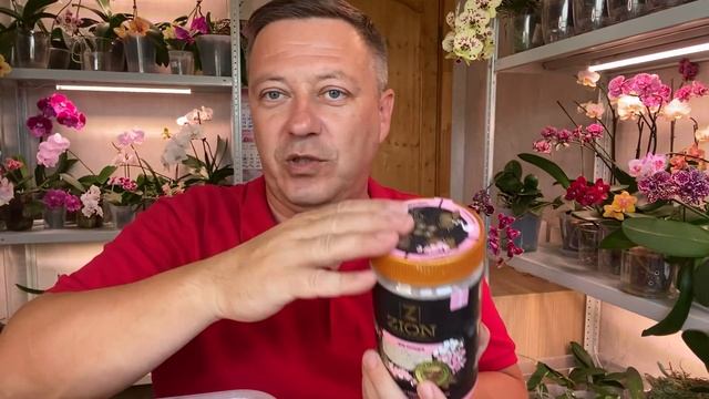 ЦИОН для орхидей ДЕНЬГИ НА ВЕТЕР а корни орхидеи и листья растут без него НЕ ХУЖЕ смотреть онлайн