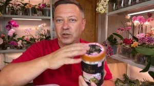 ЦИОН для орхидей ДЕНЬГИ НА ВЕТЕР а корни орхидеи и листья растут без него НЕ ХУЖЕ